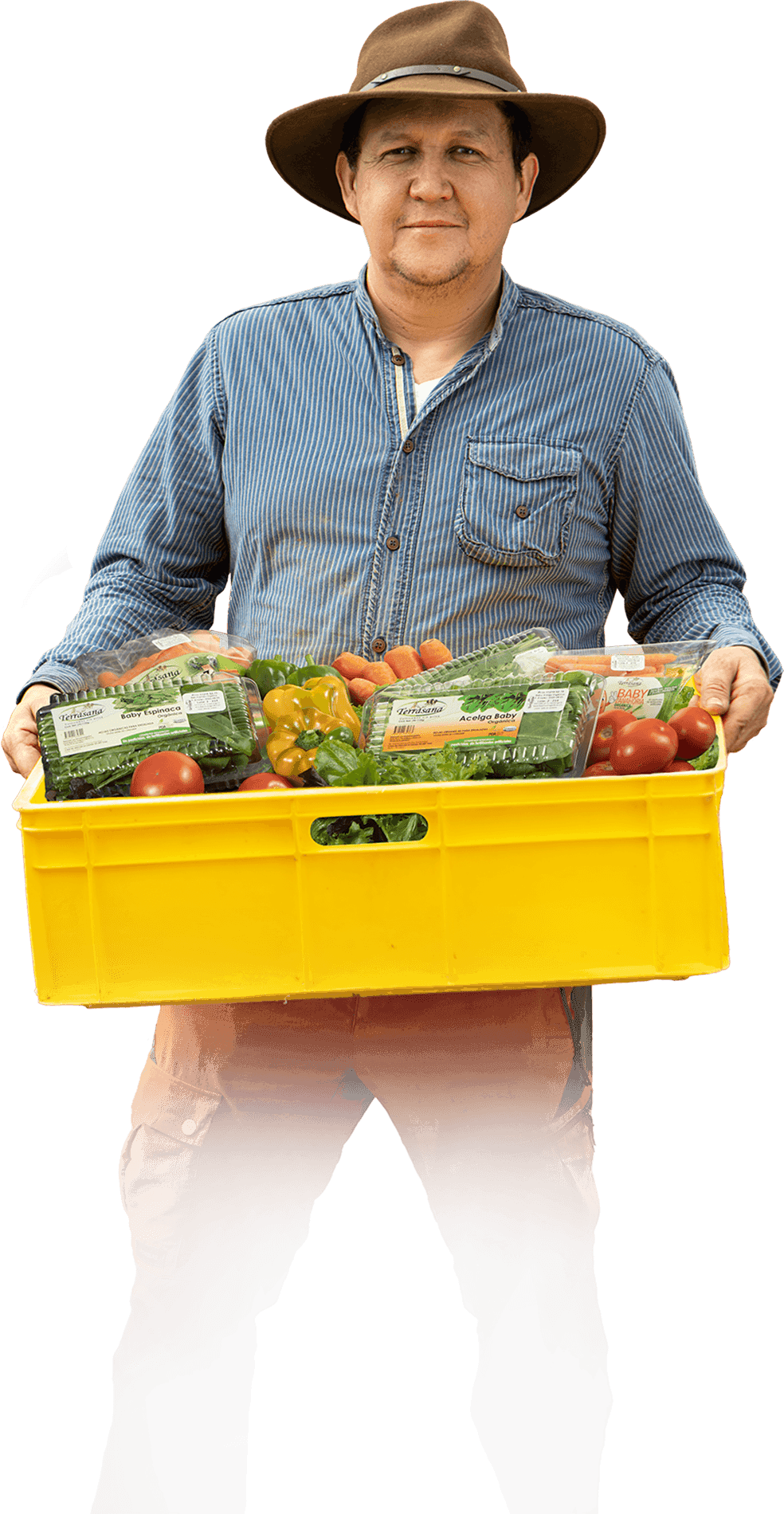 Productores de valor - agricultor ecuatoriano