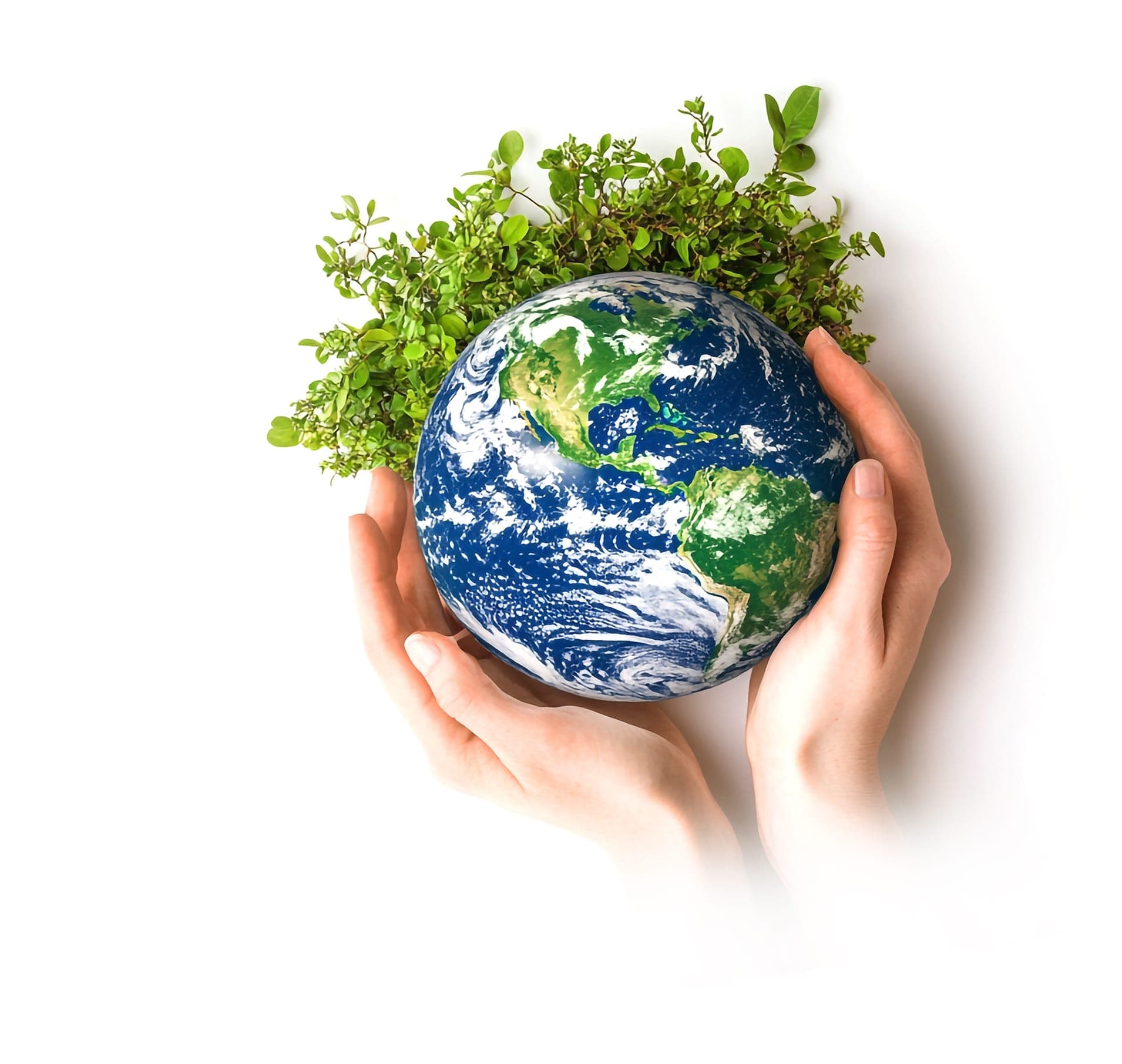 Planeta y naturaleza