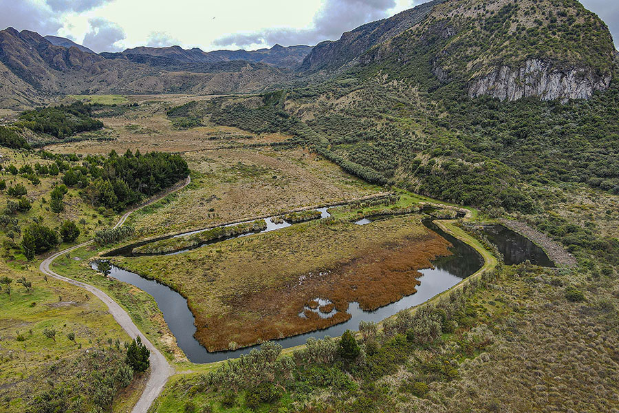 Corporación Favorita superará los 275.000 árboles sembrados para 2028 Corporación Favorita superará los 275.000 árboles sembrados para 2028