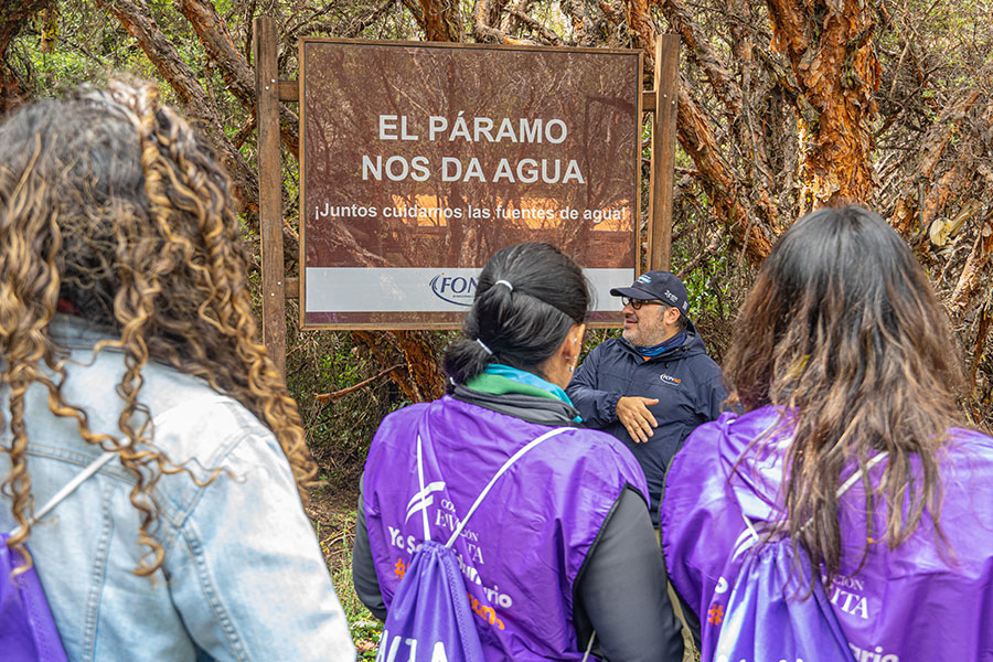 Corporación Favorita superará los 275.000 árboles sembrados para 2028 Corporación Favorita superará los 275.000 árboles sembrados para 2028